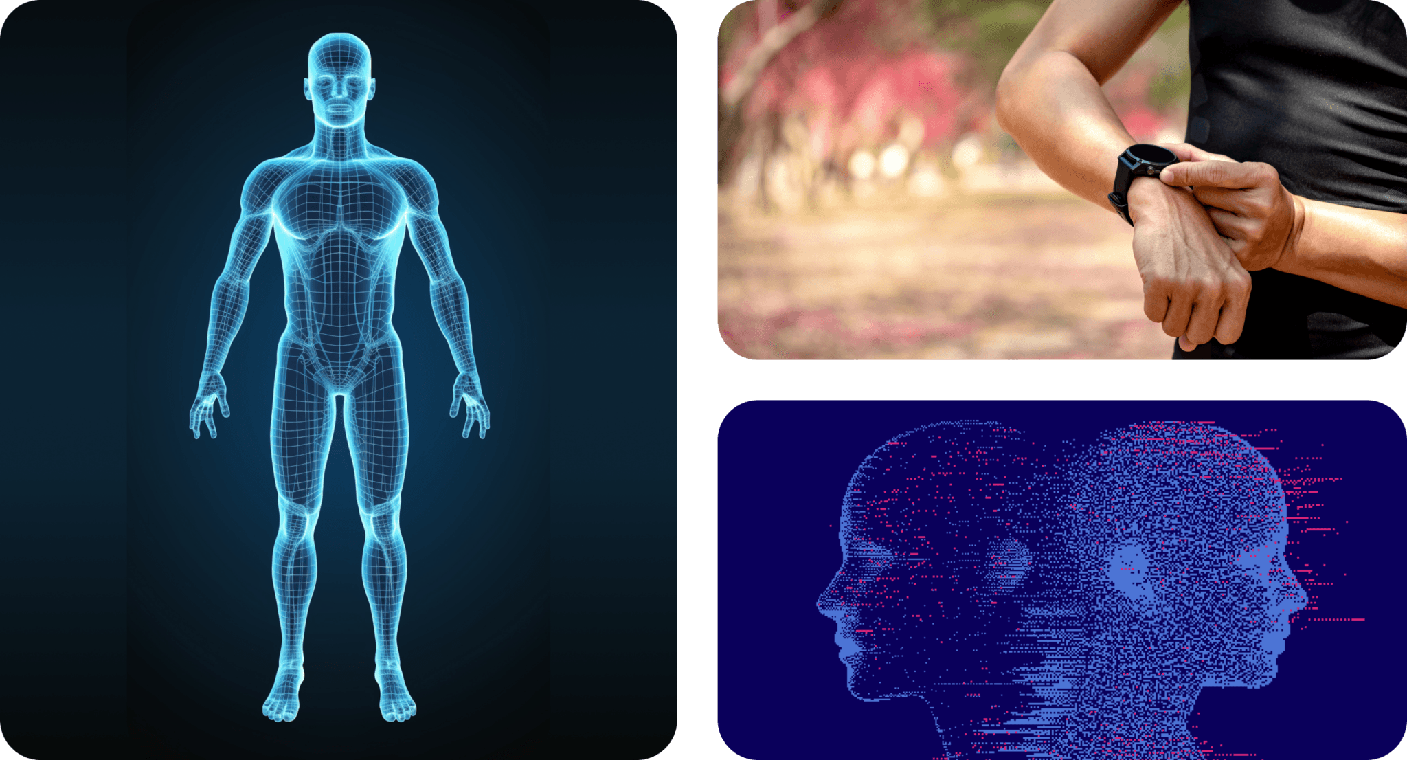 Creating a digital twin involves the collection and synthesis of data from various sources