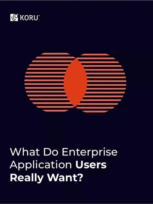 What Do Enterprise Application  Users Really Want?